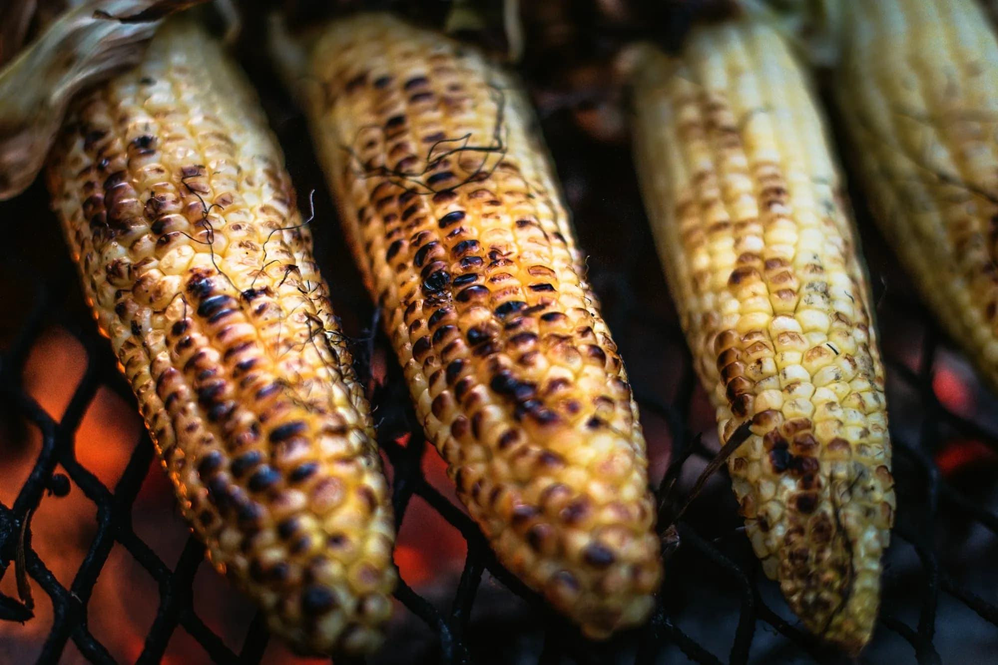 Mazorcas de maíz asadas a la brasa estilo elote, untadas con mayonesa-lima, queso cotija desmenuzado, chile en polvo y cilantro, sobre la rejilla de un kamado.