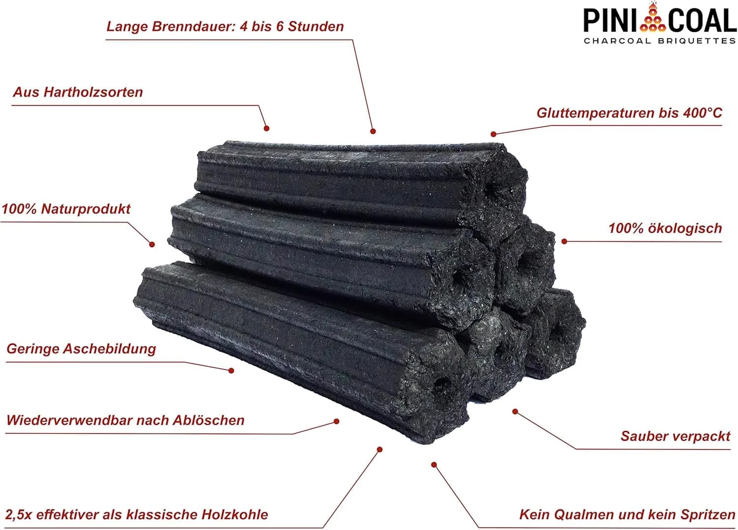 PINI COAL Briquetas de Carbón Vegetal Premium 10 kg