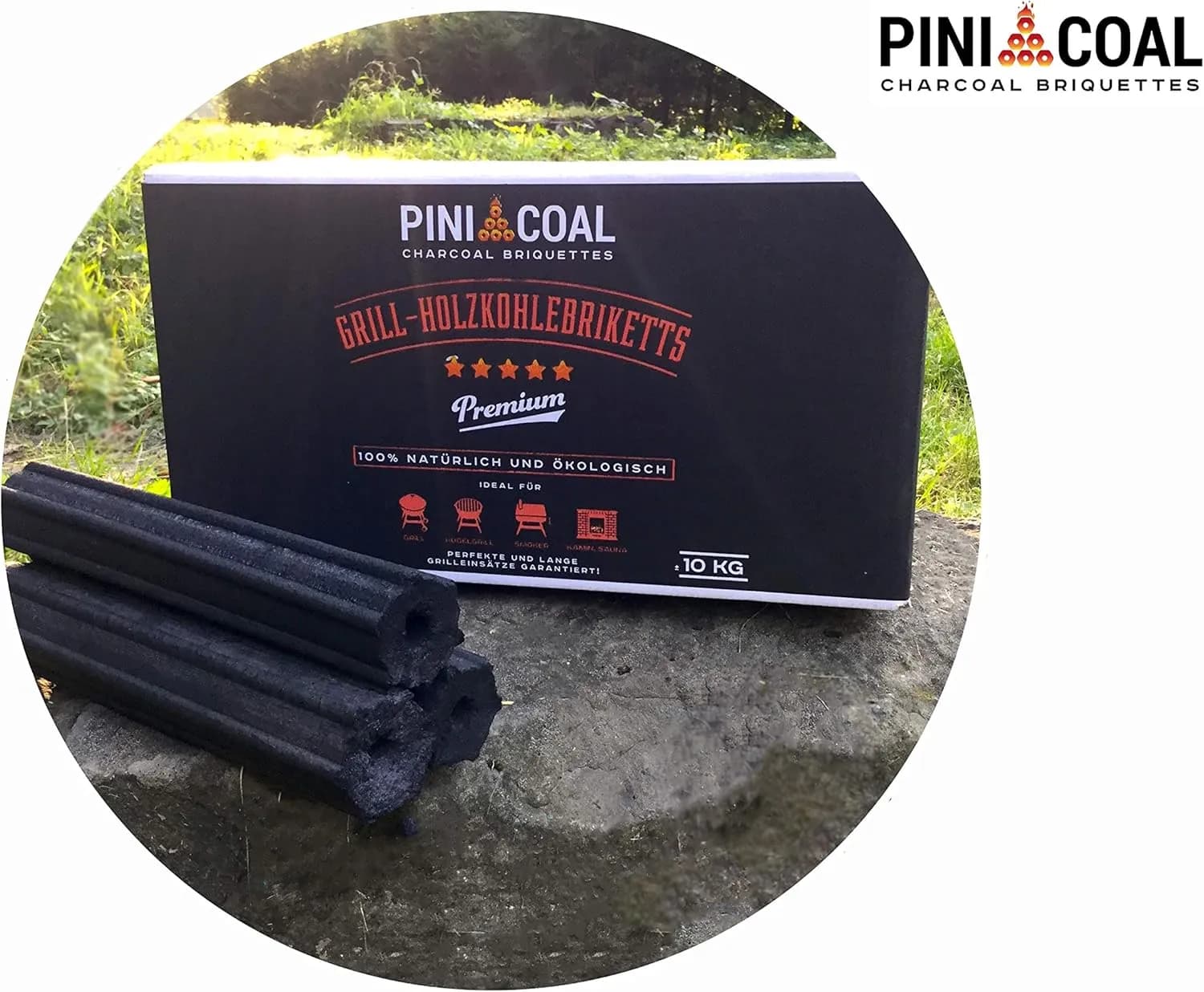 PINI COAL Briquetas de Carbón Vegetal Premium 10 kg