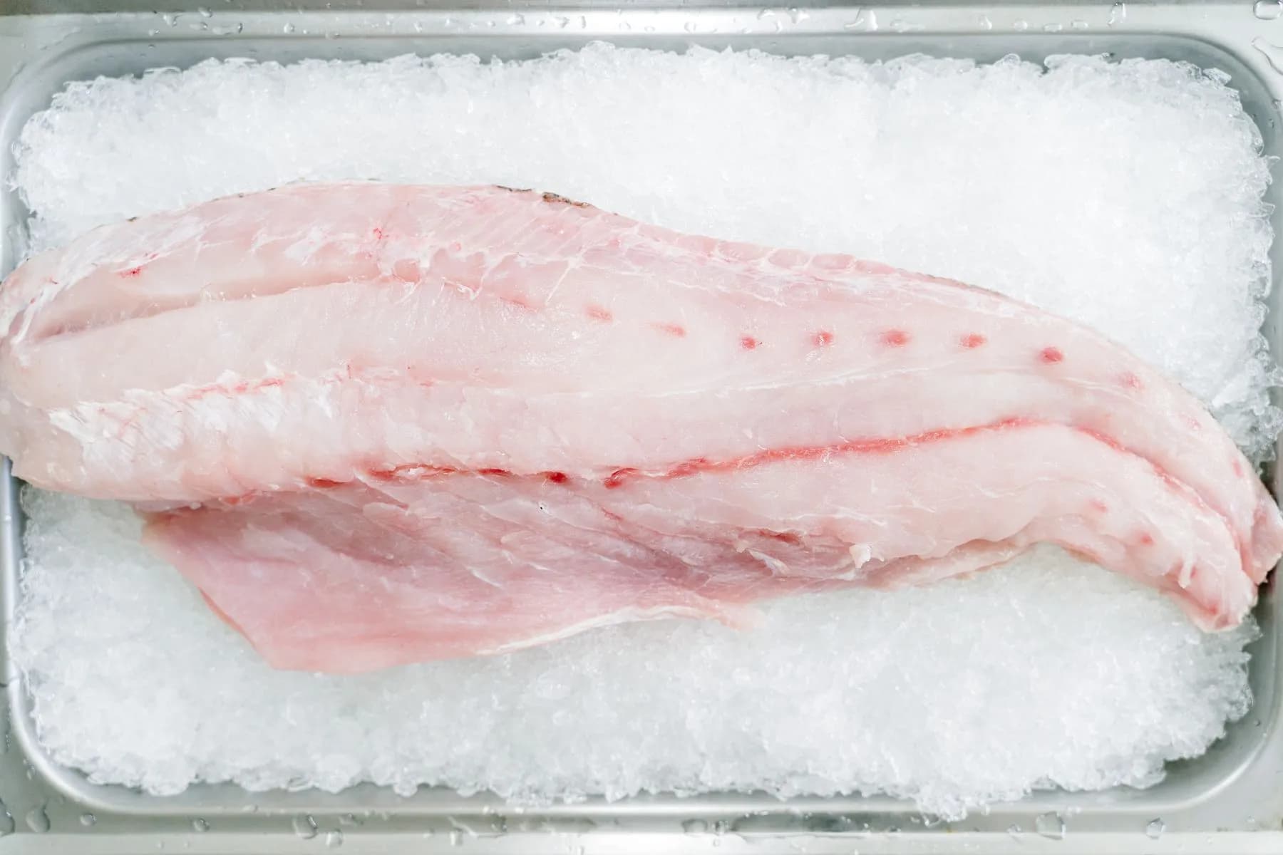 Lomo de rape crudo sobre hielo, blanco y prieto, listo para el papillote