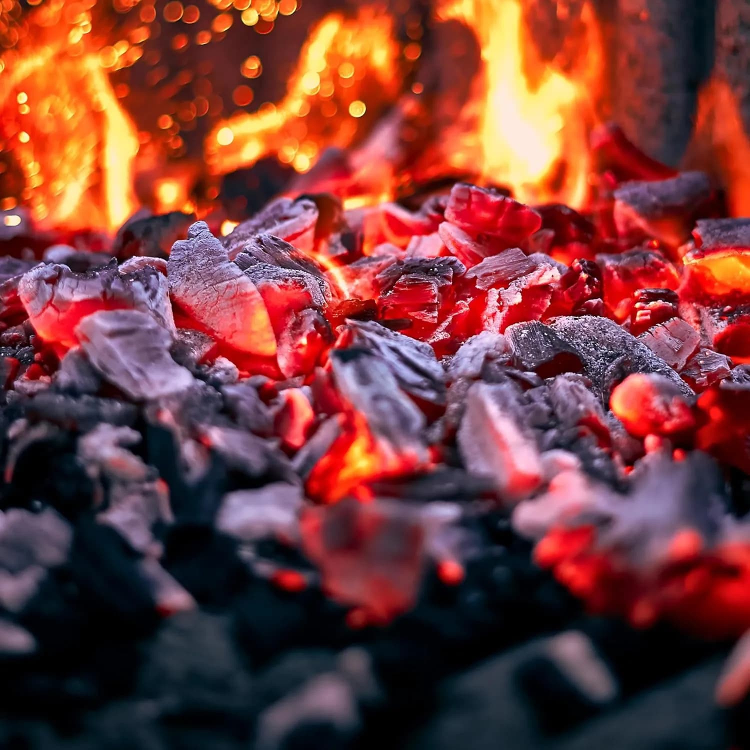 TODOBRASA Carbón Marabú Premium Ecológico 10 kg