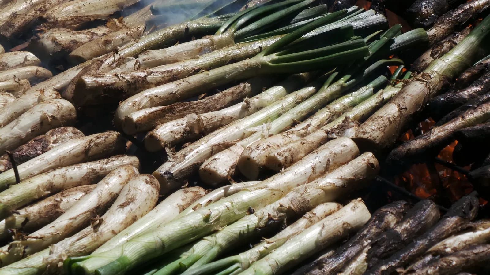 Calçots ennegrecidos por fuera sobre la brasa viva de la parrilla