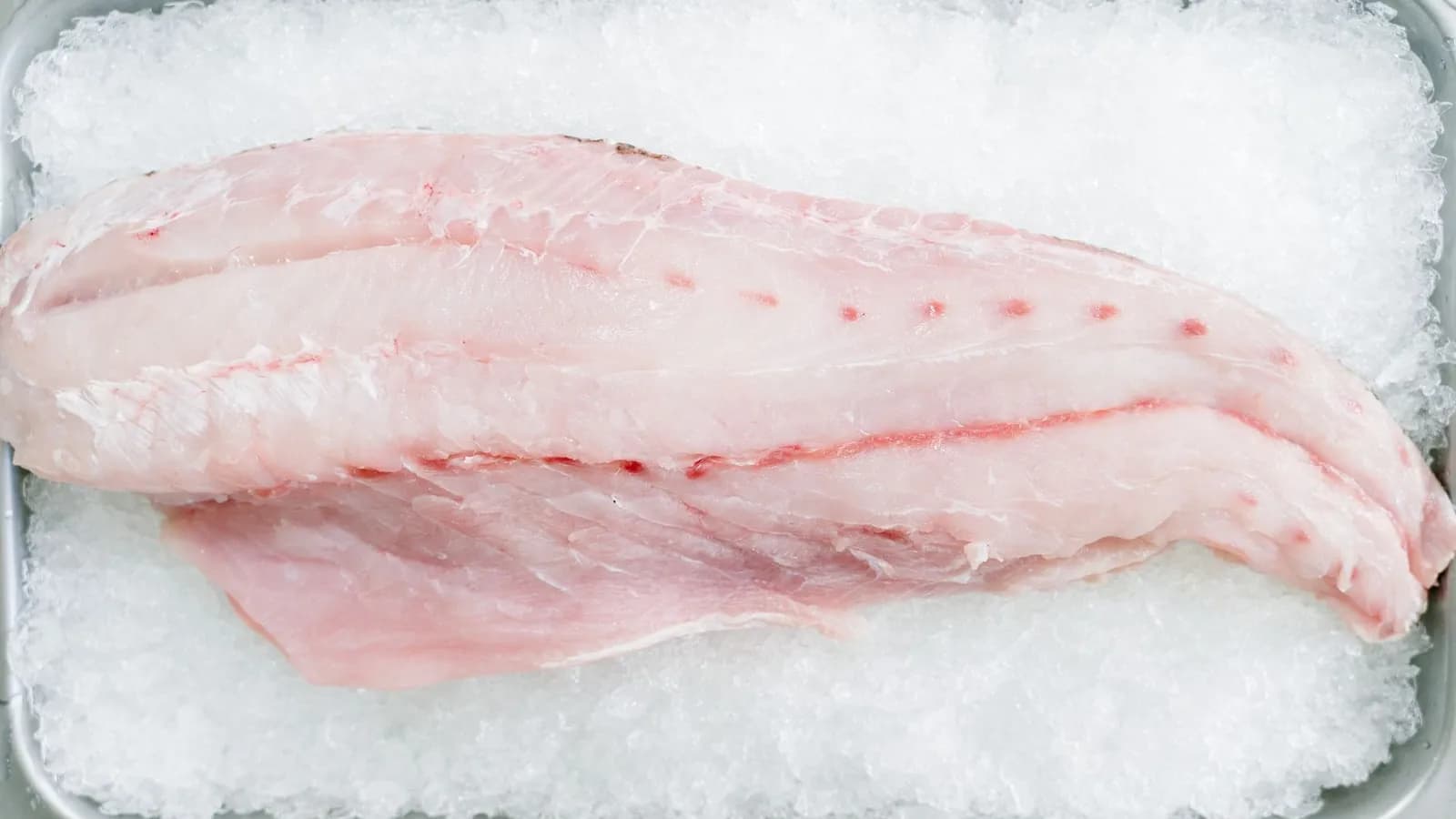 Lomo de rape crudo sobre hielo, blanco y prieto, listo para el papillote